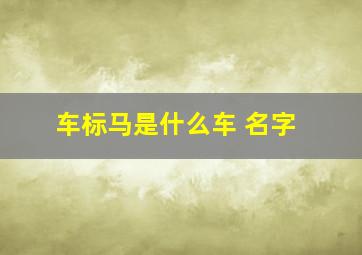 车标马是什么车 名字